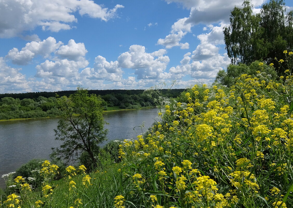 Плыл ароматом пряным, день летний над Окой, дурманил мёдом трав, цветущих над рекой. - Люба 