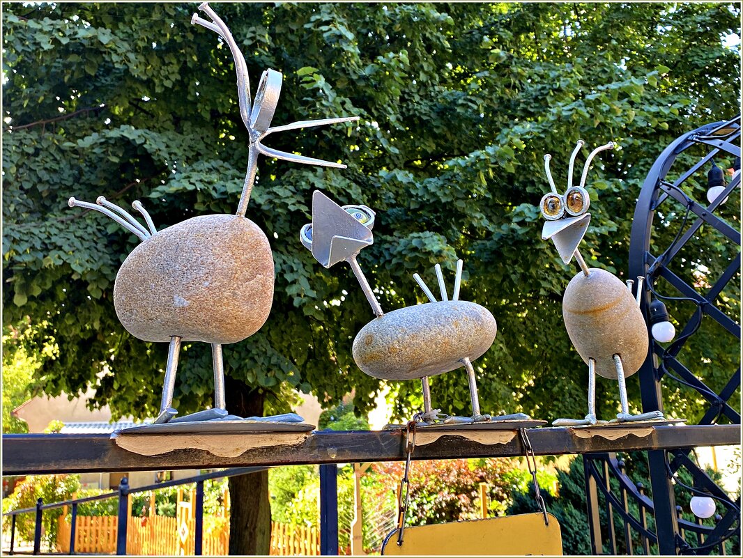Птички на заборе экскурсионного бюро. - Валерия Комова