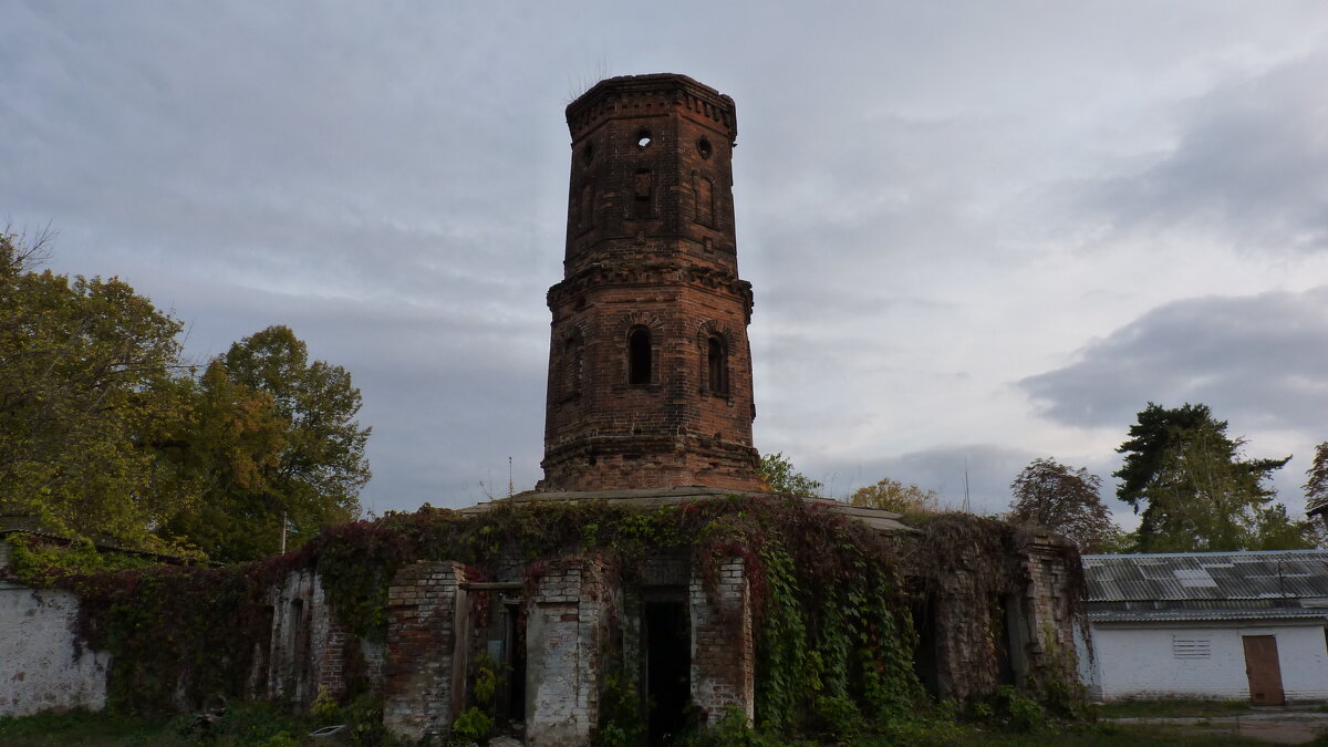 Старая башня - Алла Рыженко