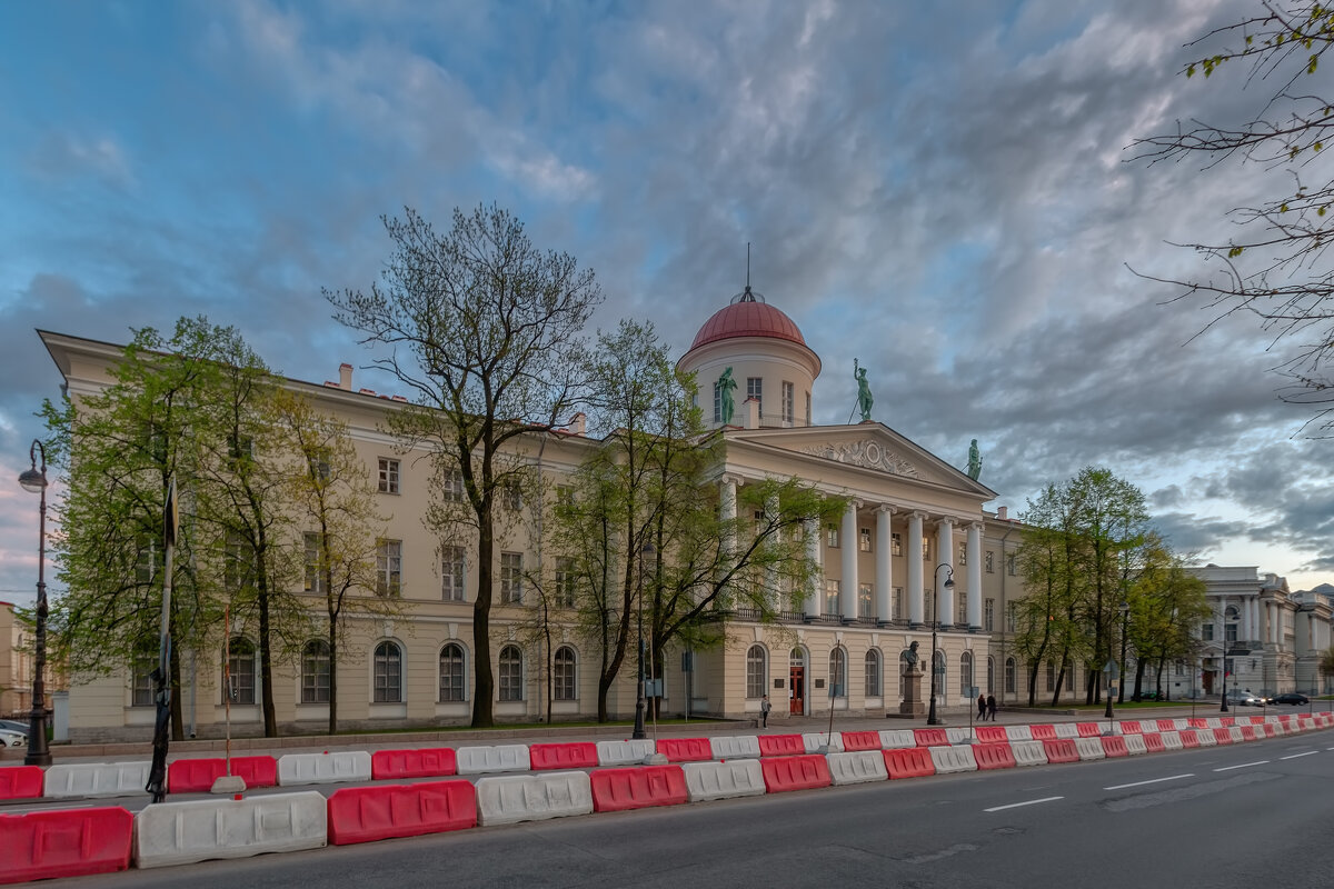 Пушкинский дом крыша