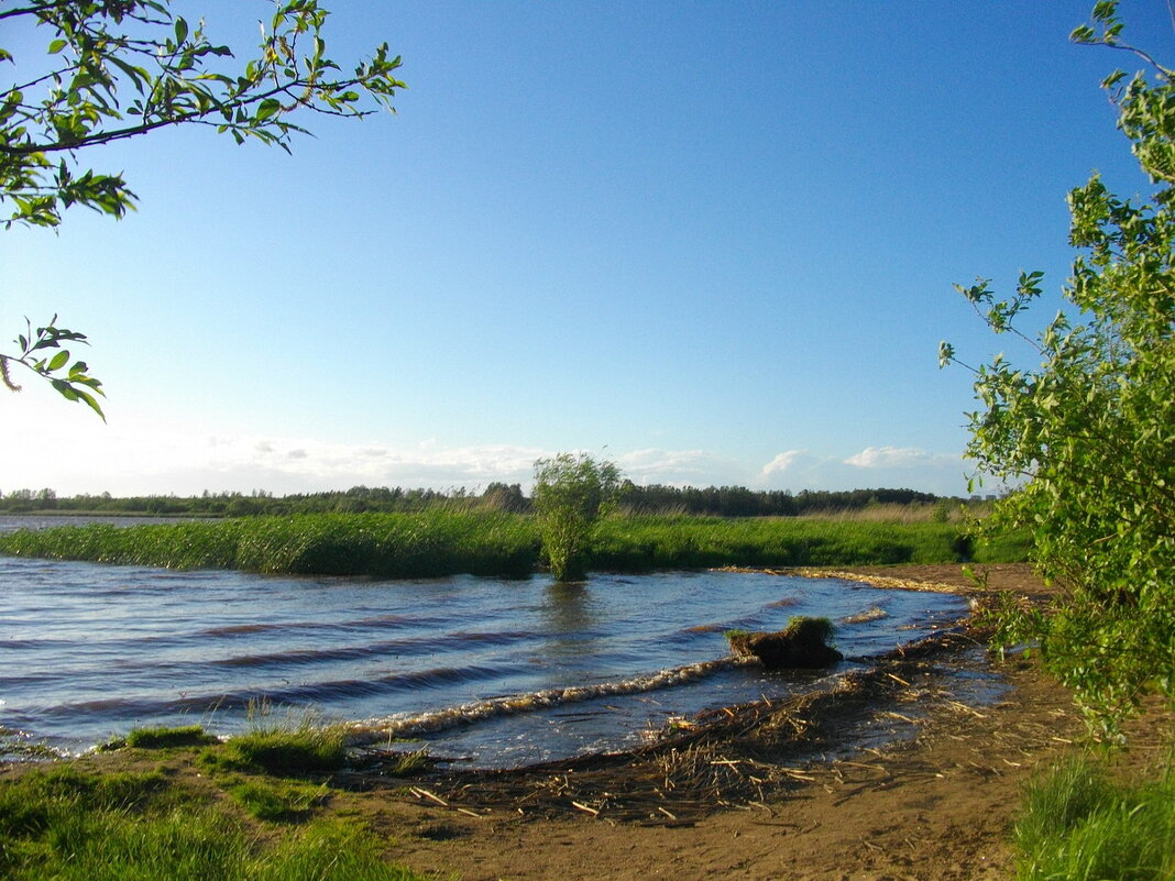 У воды в жару хорошо! - Лия ☼