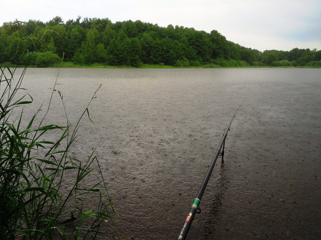 Рыбалка под дождём - Андрей Снегерёв