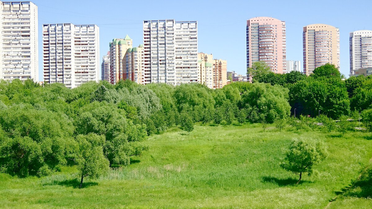 Парк Олимпийской деревни - Сергей Антонов