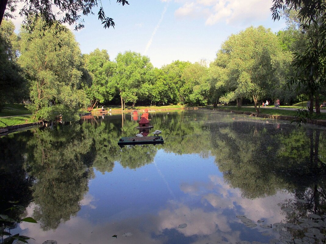 Леоновский пруд в парке «Сад будущего» - Ольга Довженко