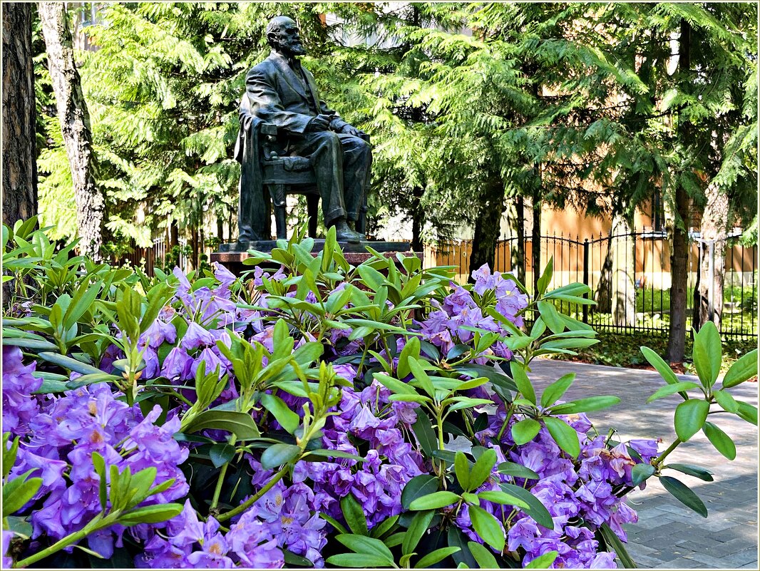 Памятник И. П. Павлову. - Валерия Комова