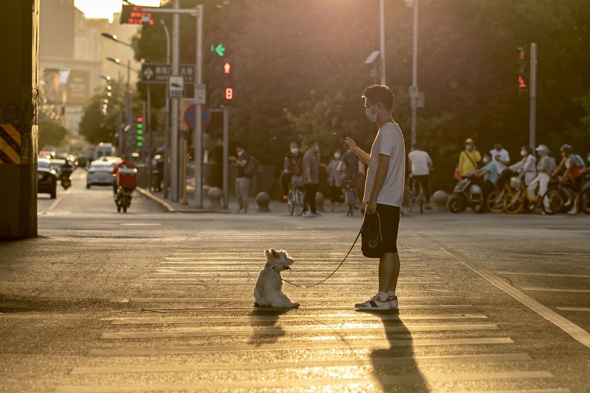 «Человек собаке - друг» - Konstantin Liubavin