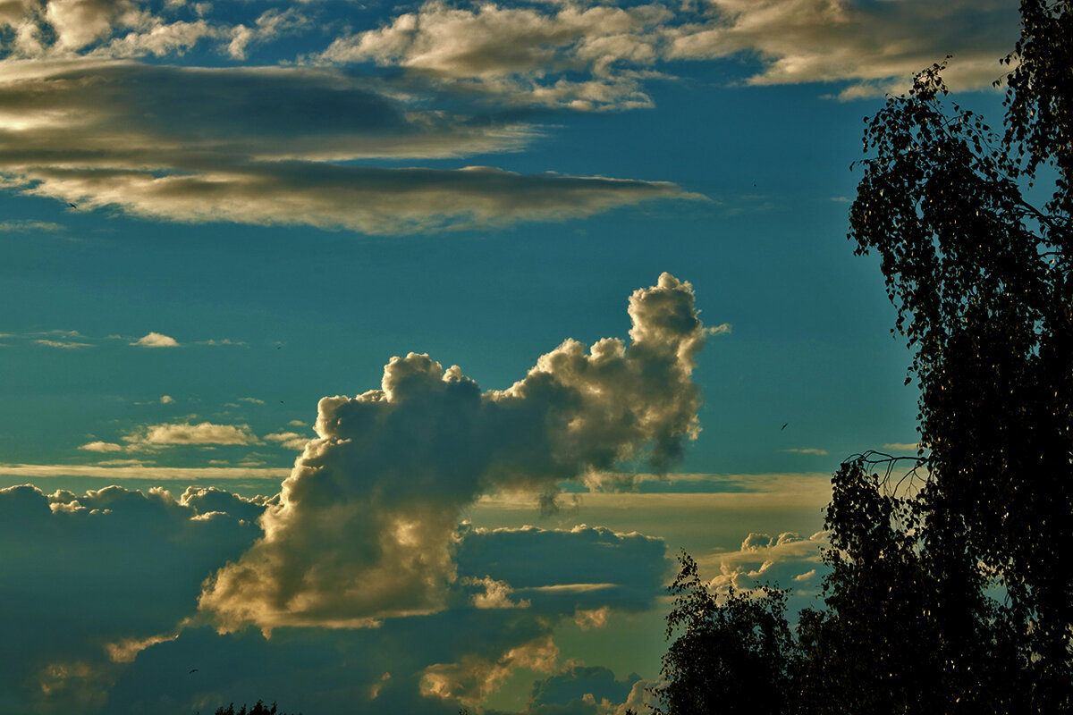 Облака на закате - Светлана 