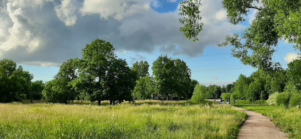 Царское Село. Июль - Наталья Герасимова