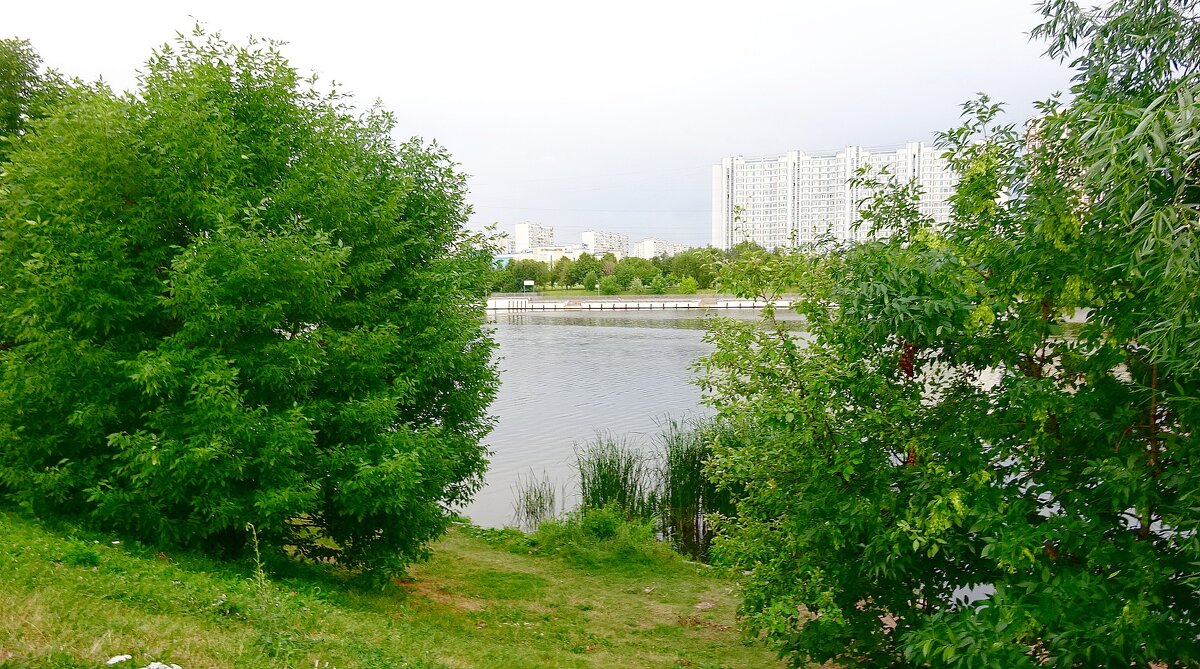 В Марьинском парке - Сергей Антонов