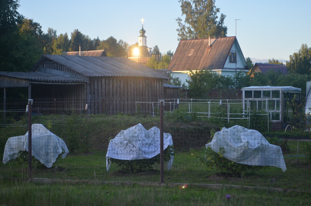 Деревня Кочевицы, Троицкая церковь восстанавливается с 2012 года... - Владимир Павлов