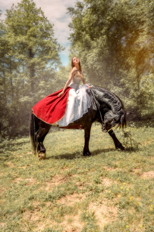Наездница и конь - Андрей Володин