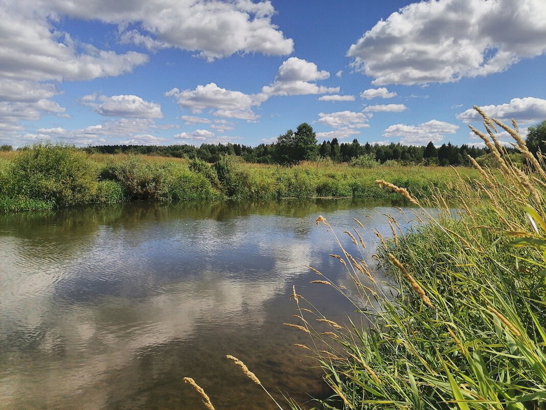 Река Шерна - Аурика 