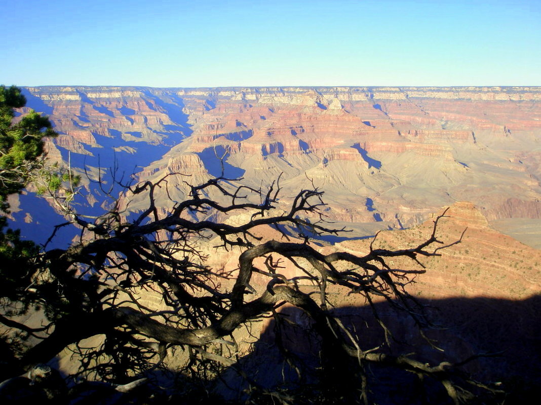 Grand Canyon, США - Елена 