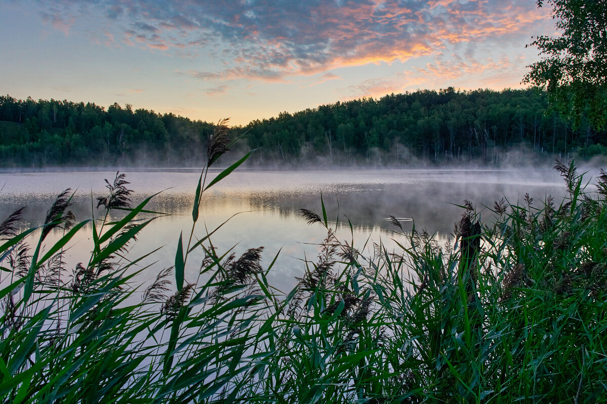 Раннее утро,над озером поднимется туман... - Алексей Мезенцев