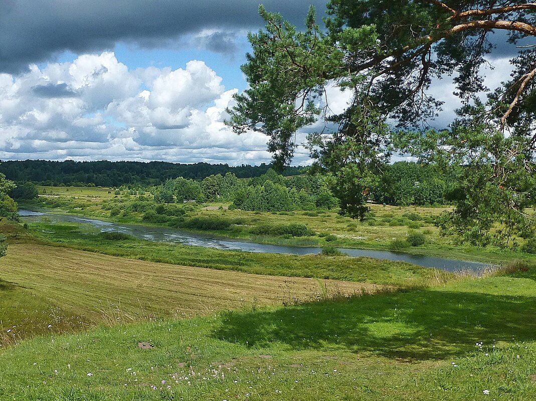 Вид на реку Сороть с Савкиной горки - Лидия Бусурина