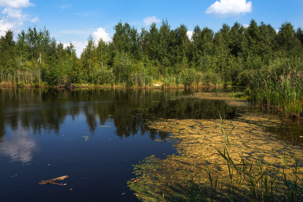 *** - Владимир Безбородов