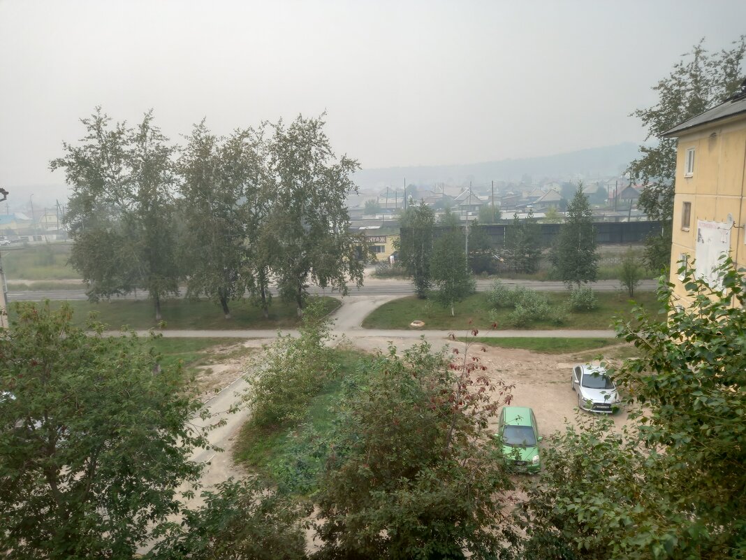 Дым после лесного пожара - Алевтина 