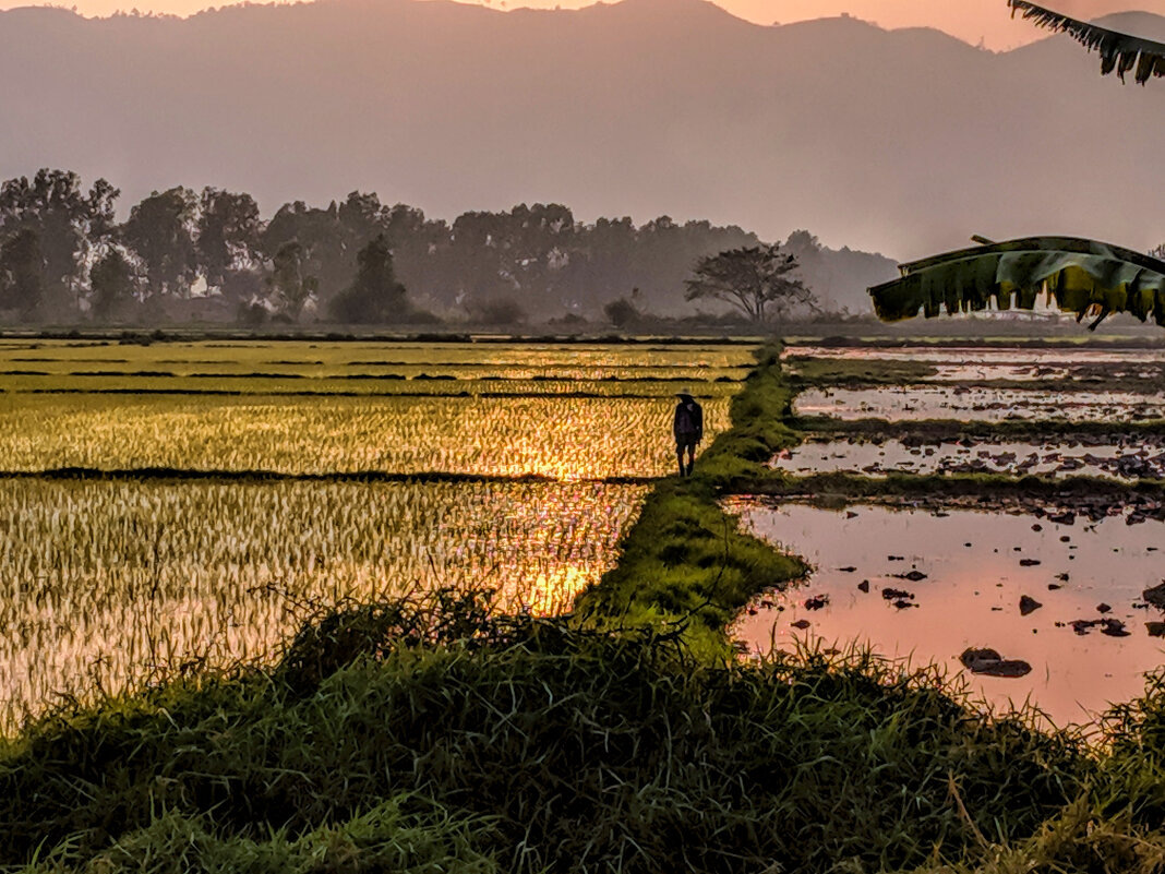 Закат над рисовыми полями. Мьянма - Олег Ы