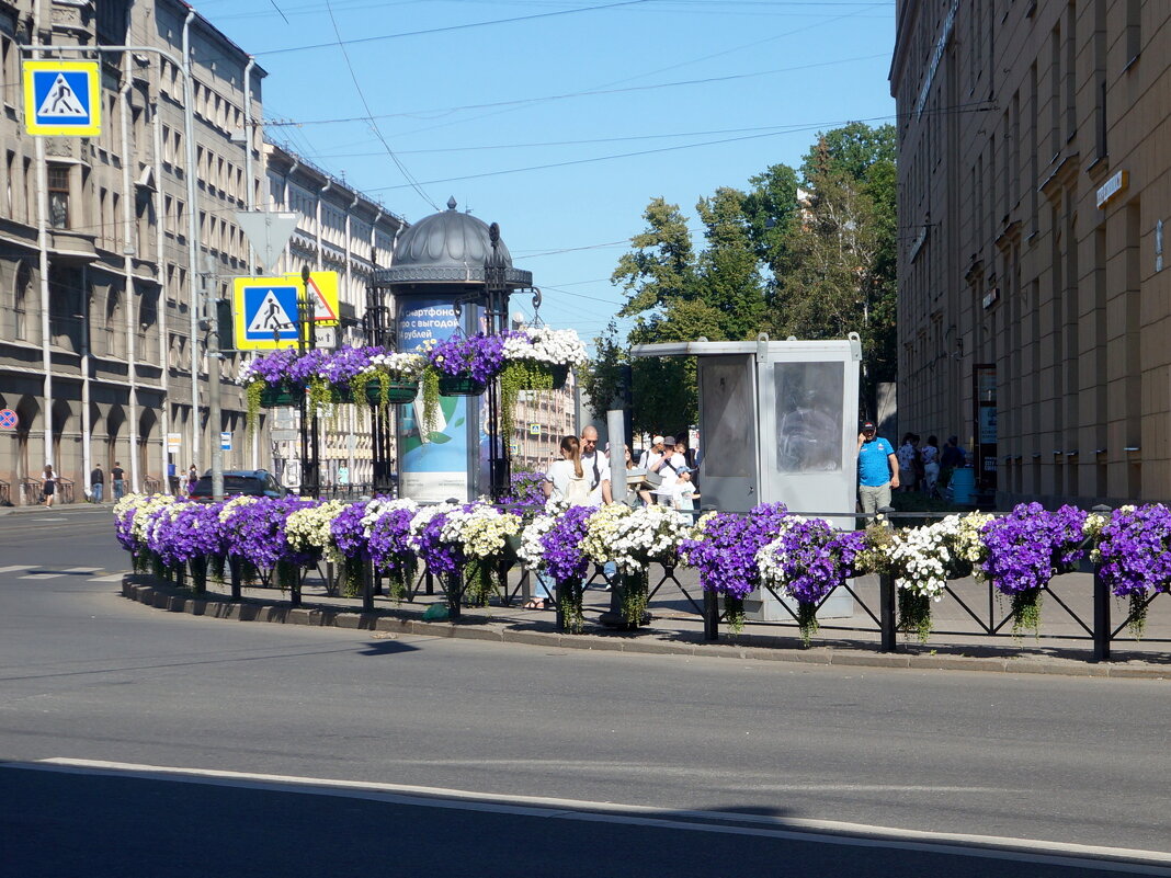 цветы в городе - zavitok *