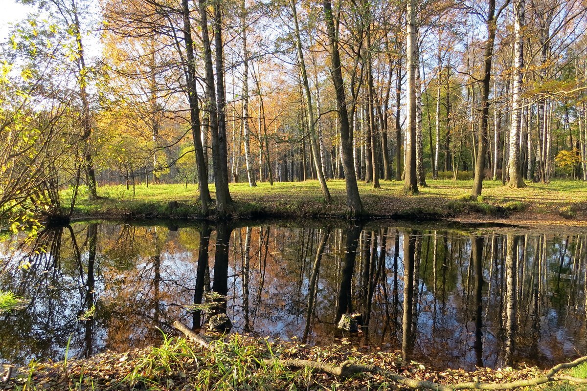 Осенний парк - Вера Щукина