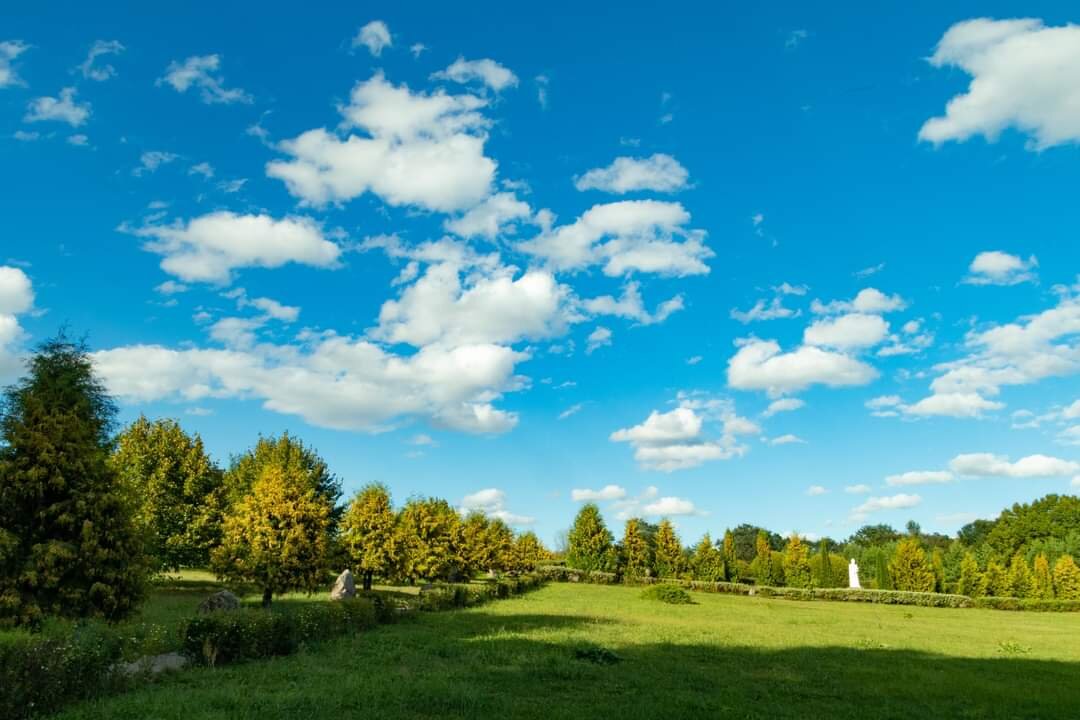 Мосар. Беларусь - Екатерина Счасная