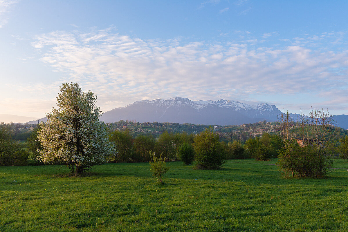 *** - Марина (M@rka)