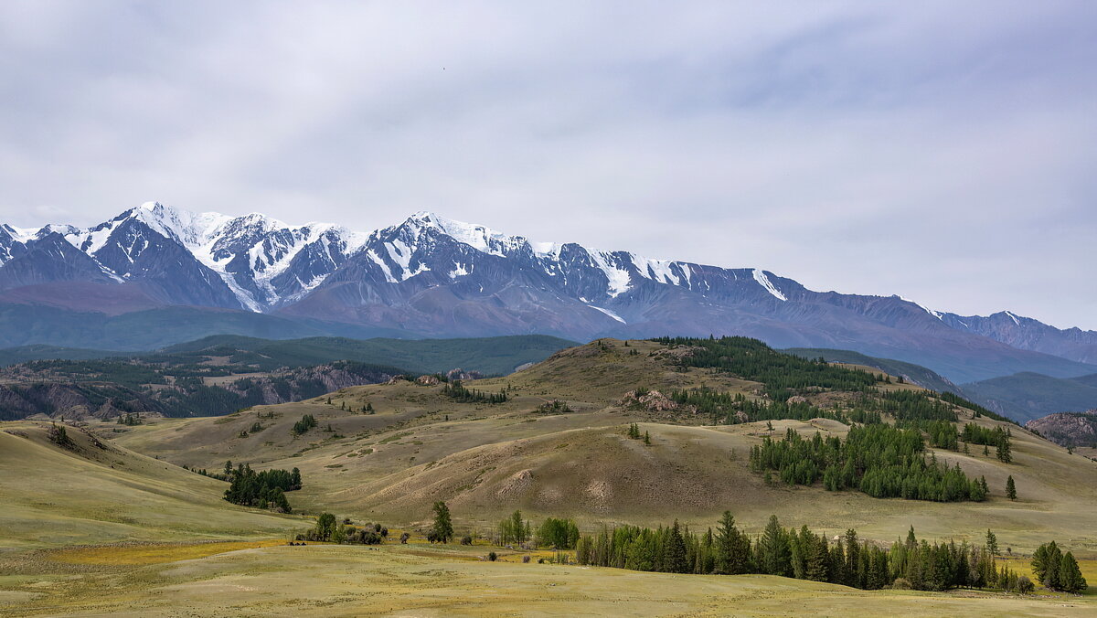 Северо-Чуйский хребет горный Алтай фото