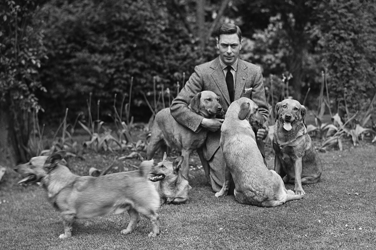 Отец Елизаветы II король Георг VI  со своими собаками - Лидия 