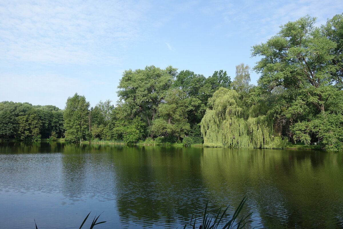 Парк Южный, Калининград - Маргарита Батырева