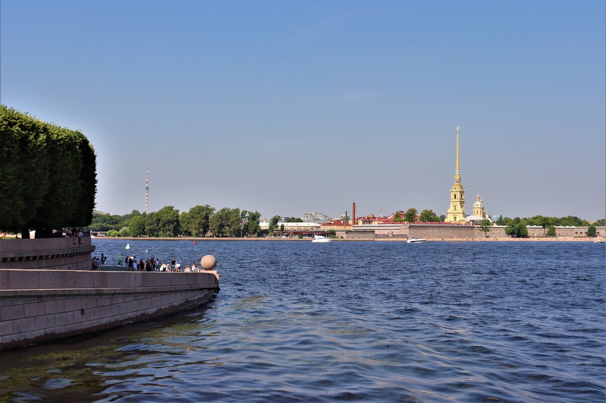 Стрелка Васильевского острова - Наталья Лунева 