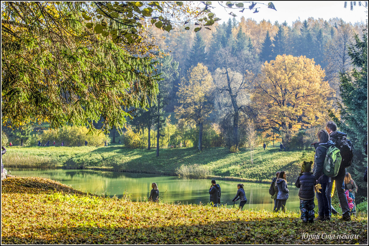Любование великолепием природы в Павловском парке осенью - Стальбаум Юрий 