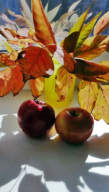 Натюрморт яблоки и осенние листья - Екатерина Торганская