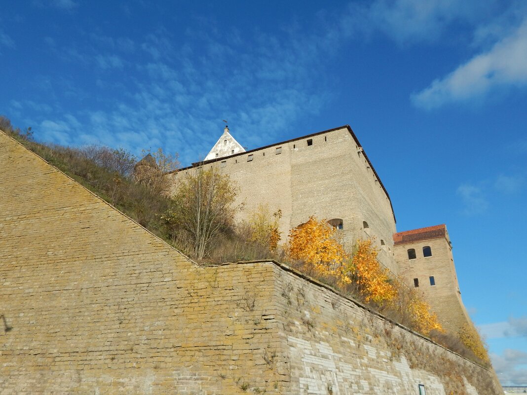 крепость - linnud 