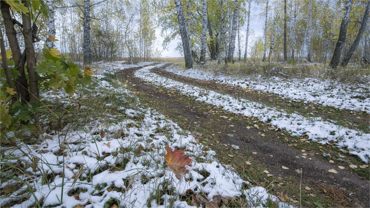 Кленовый лист - vedin 