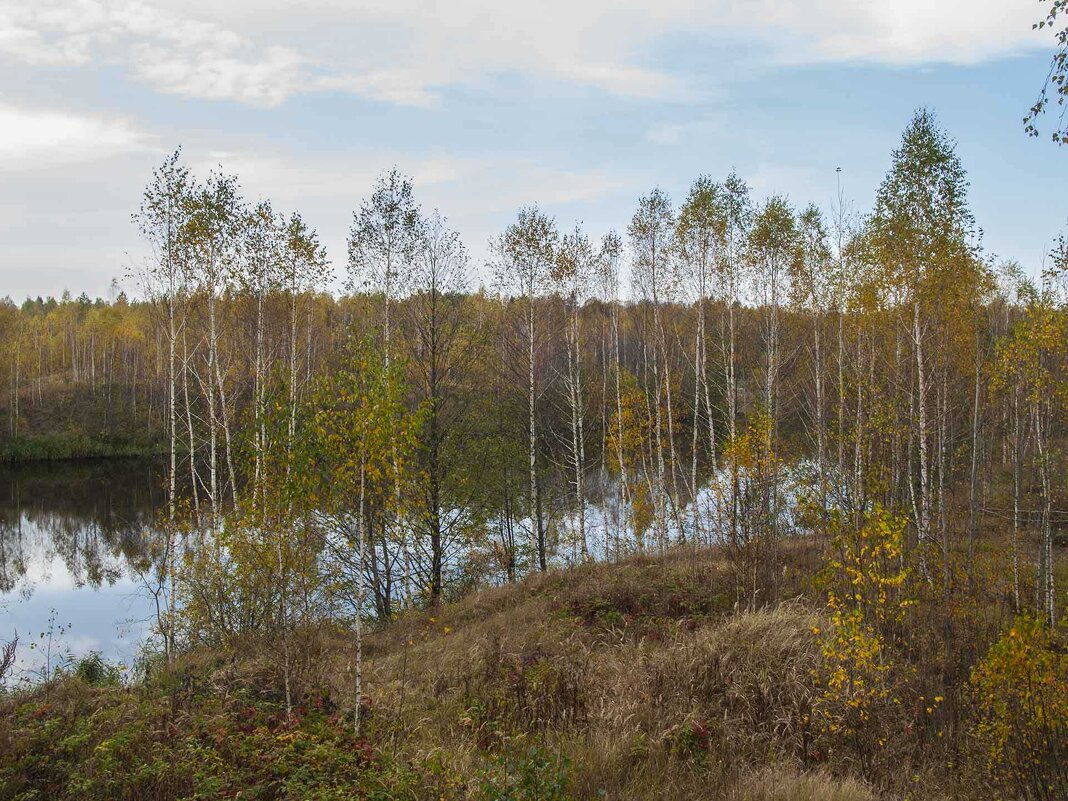 Осенний пейзаж с водой - Владимир Безгрешнов