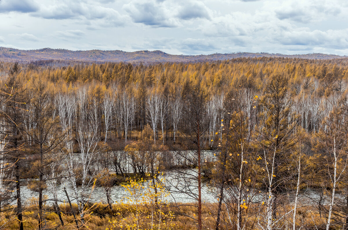 Осень - Сергей Сол