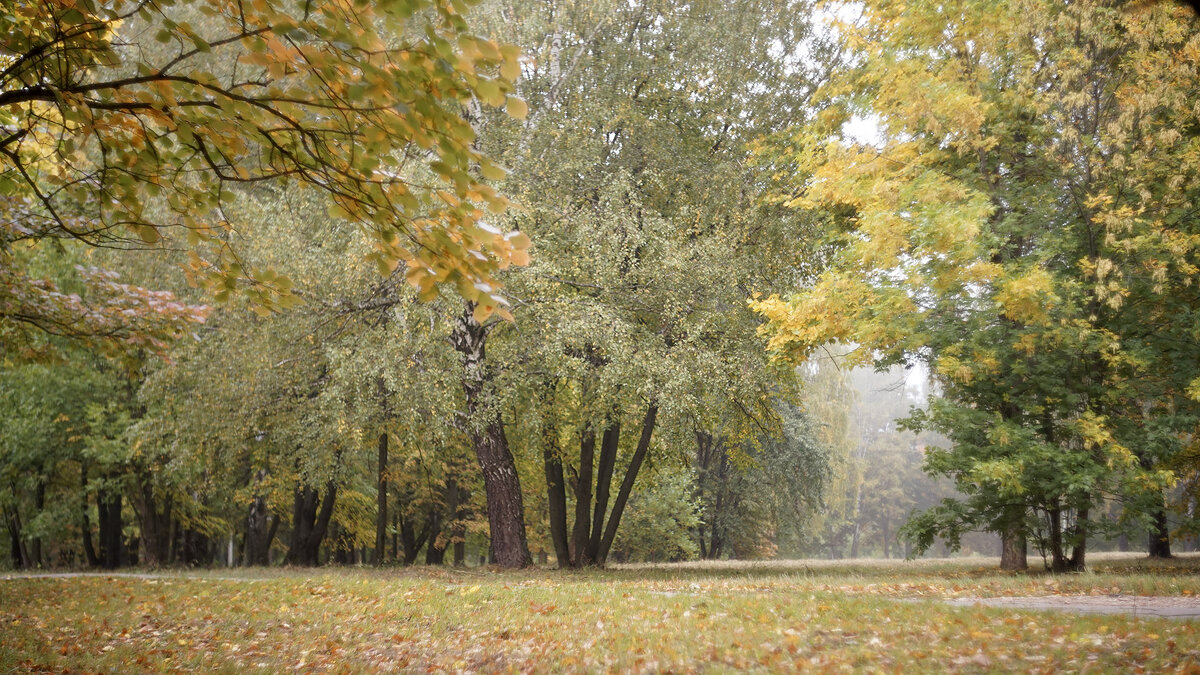 Осенний парк - sorovey Sol