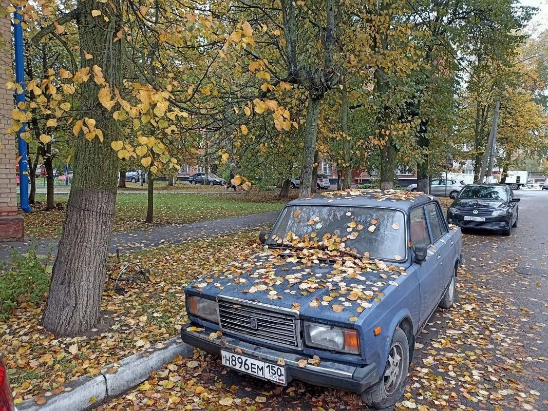 Осень всюду. - Михаил Столяров