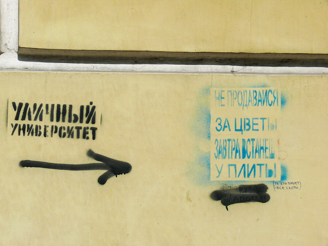 Любопытное граффити: Уличный университет :-) - Стальбаум Юрий 