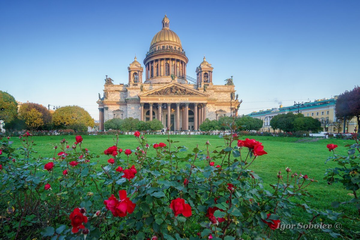Исаакиевский собор с розами - Игорь Соболев
