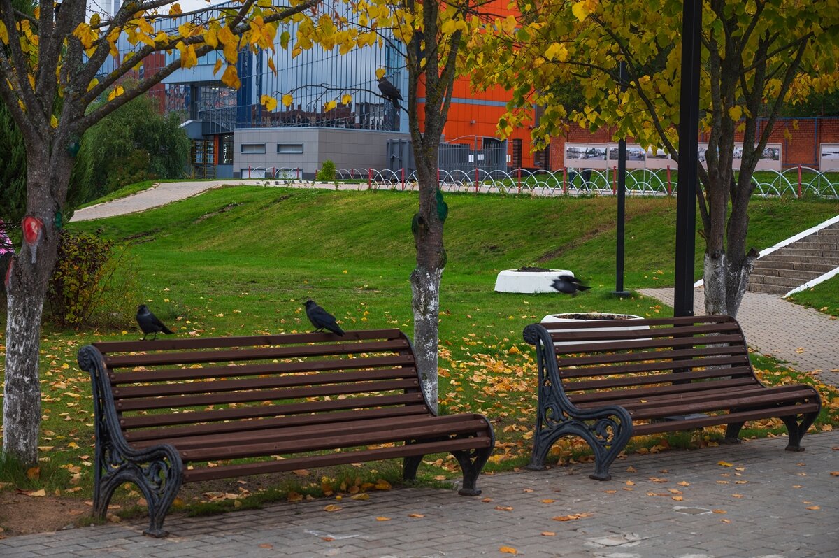 Осень в городском парке. - Виктор Евстратов