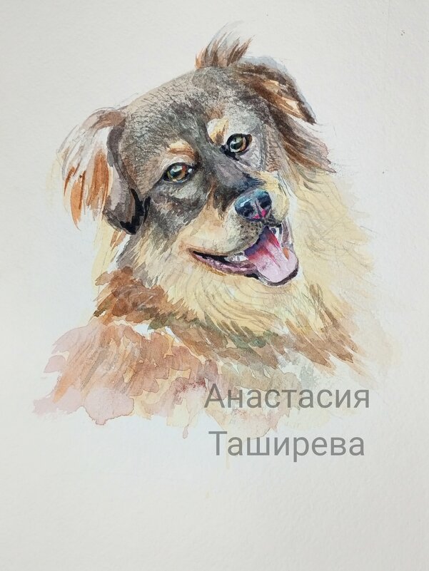 Бездомный пёс картина - Анастасия Таширева