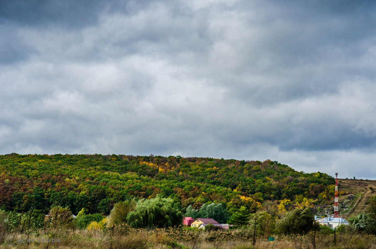 осень - Александр Леонов