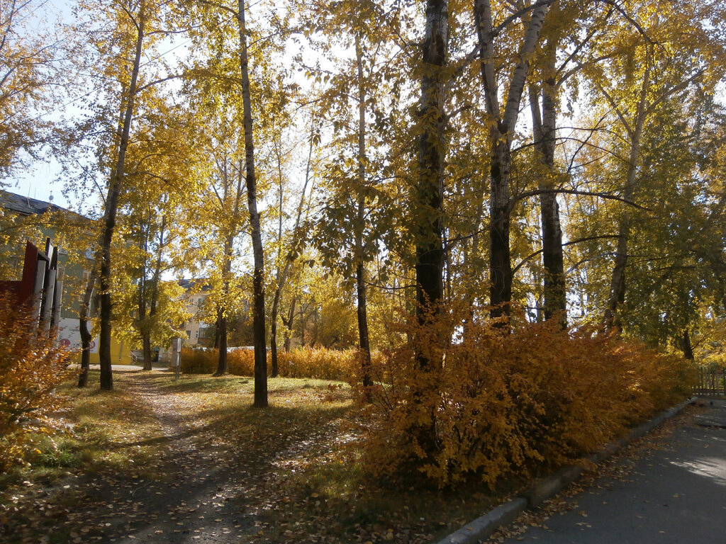 Осень в городе - Алевтина 