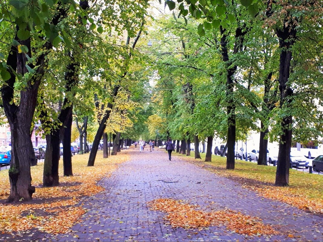Шагает осень по бульвару - Ирина 