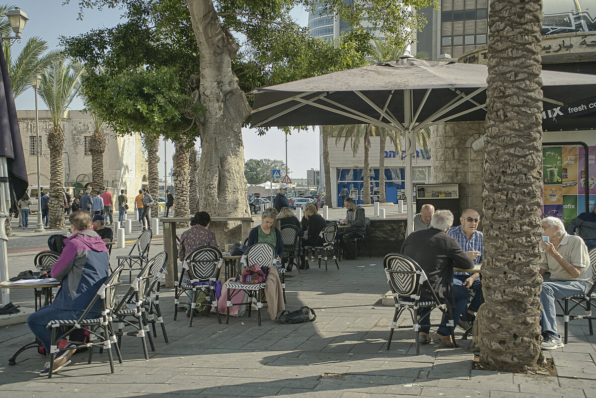 «Кикар-Париз» (Парижская площадь») находится в Нижнем городе .Израиль - ujgcvbif 