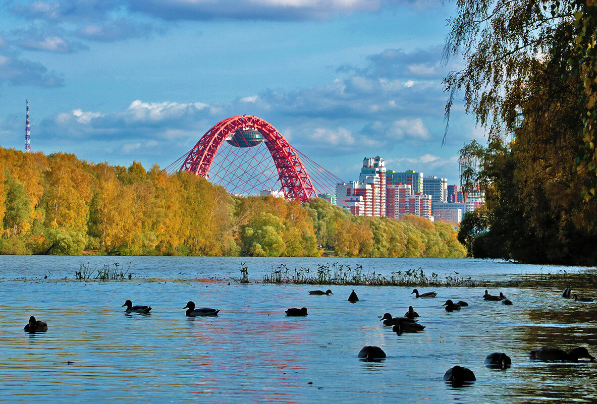 Осень за городом в Москве