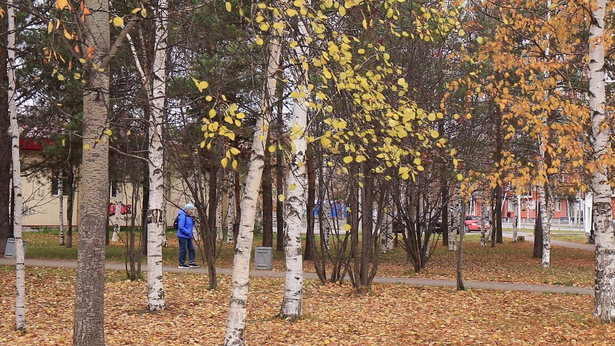 Осень в сквере Победы! - Владимир 