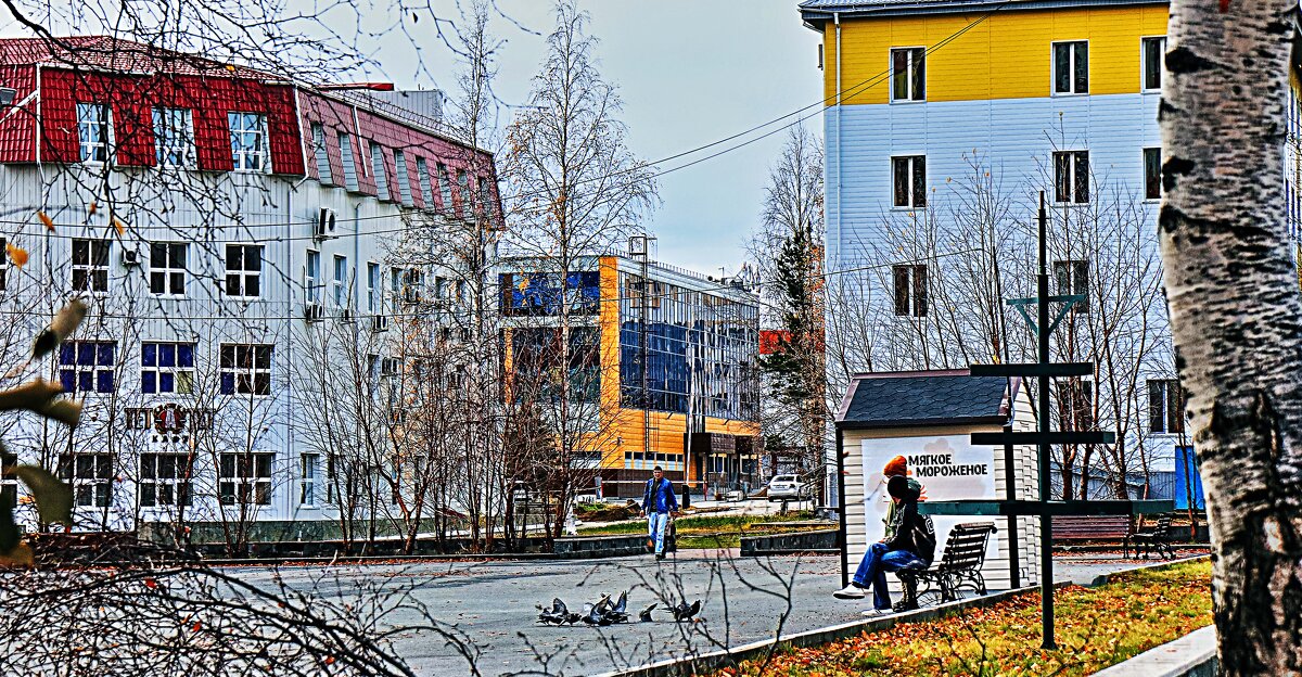 Осень в городе...В сквере с голубями! - Владимир 