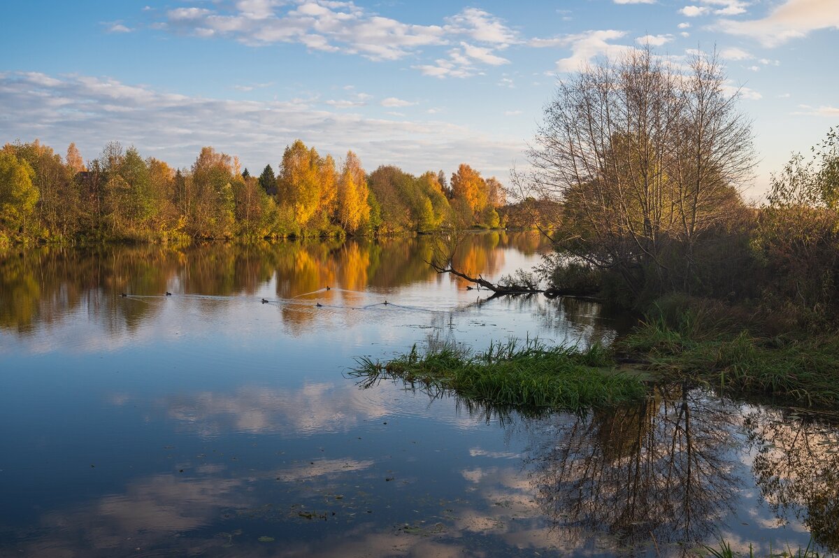 Красивая осень на реке Дубне. - Виктор Евстратов